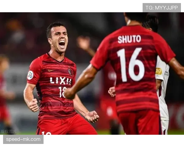 归化球员助阵欧洲杯，带来新动力助力国家队冲击荣誉