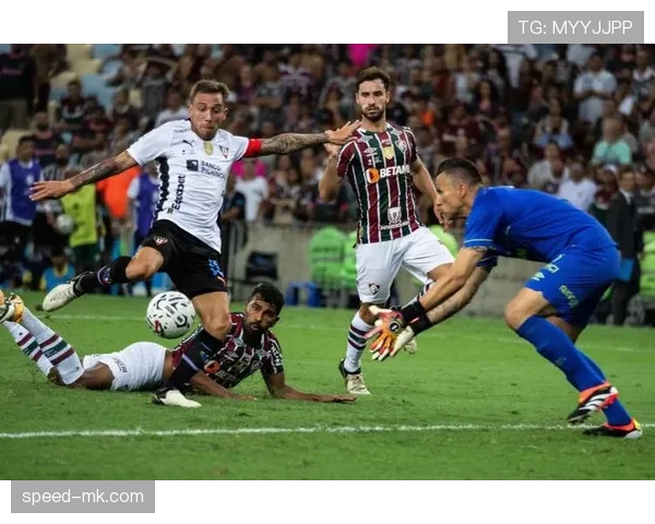 南美足球精彩进球解析：技术与创造力的巅峰融合引关注