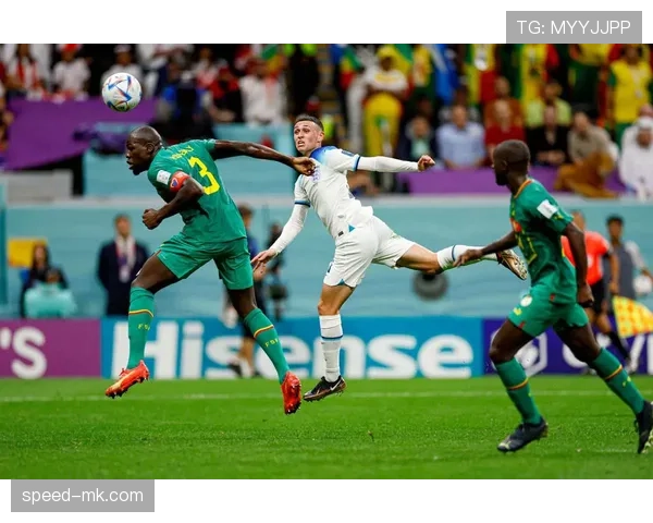 塞内加尔国家队新阵容亮相，青春风暴蓄势备战国际赛季