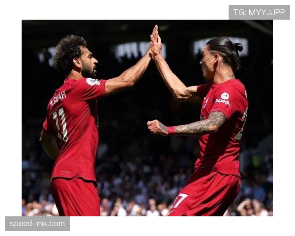 努涅斯南美国家队关键战表现解析