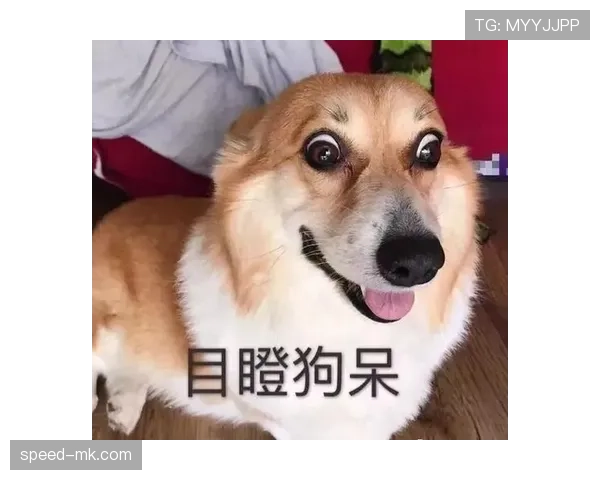 陶菲克训练完随手把球拍扔地上那一下，真不愧是当年敢在场上瞪教练的主